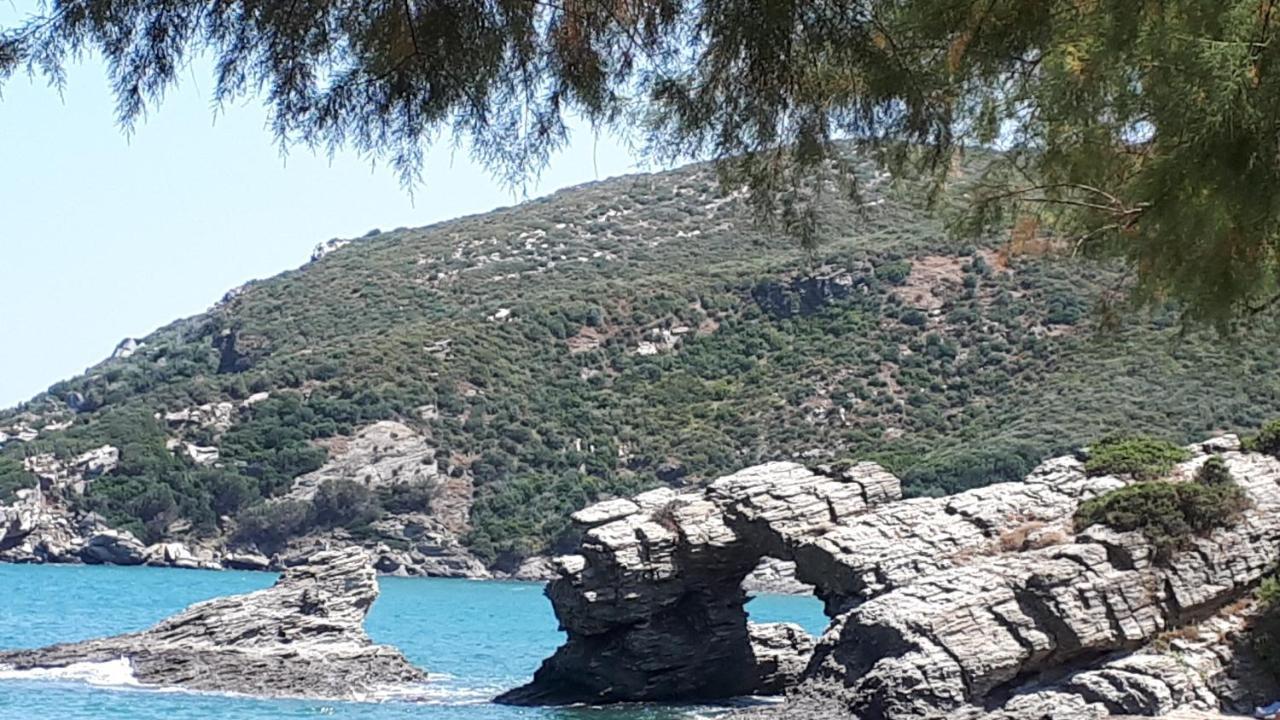 Ellina'S Home - Euboea Island Greece Oxílithos Eksteriør billede